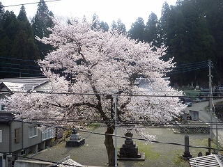 1P1000512.jpg