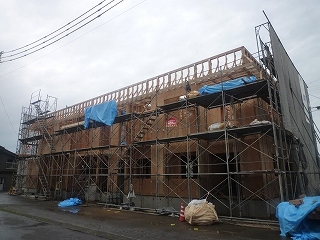 P1010436.jpg