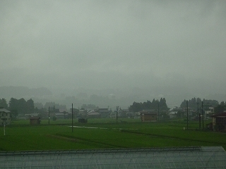 P1010791.jpg