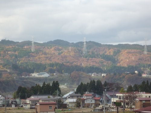 P1020873.jpg