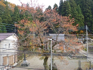 P1020876.jpg