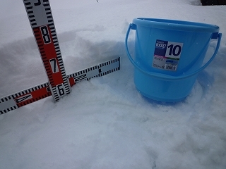 P1030301.jpg
