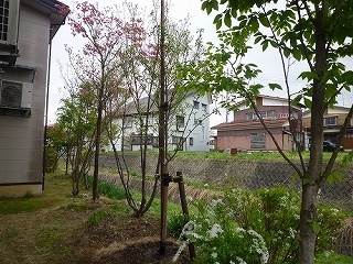 P1040553.jpg