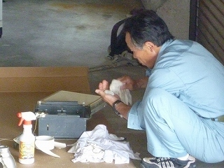 P1050039.jpg