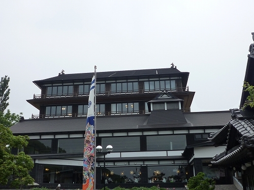 P1050093.jpg