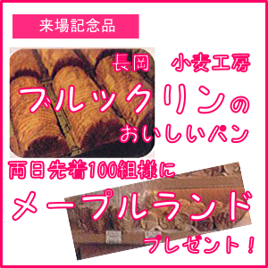 g4204-9.png